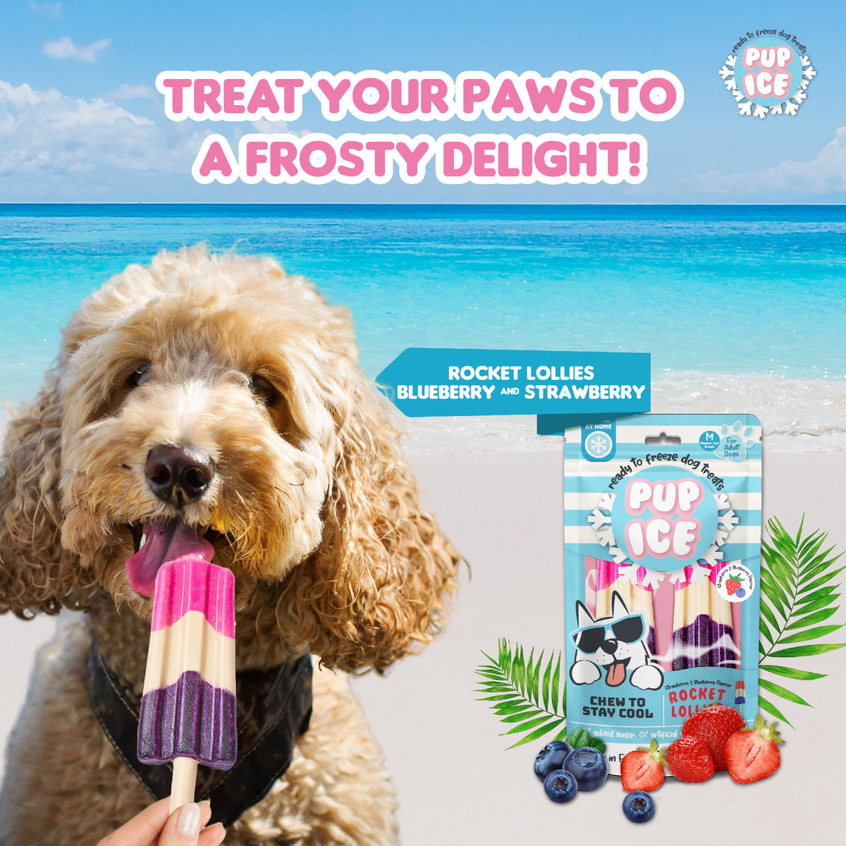 Pup Ice Rocket Lollies Blueberry & Strawberry 2Pk 90G - PI04-01.jpg