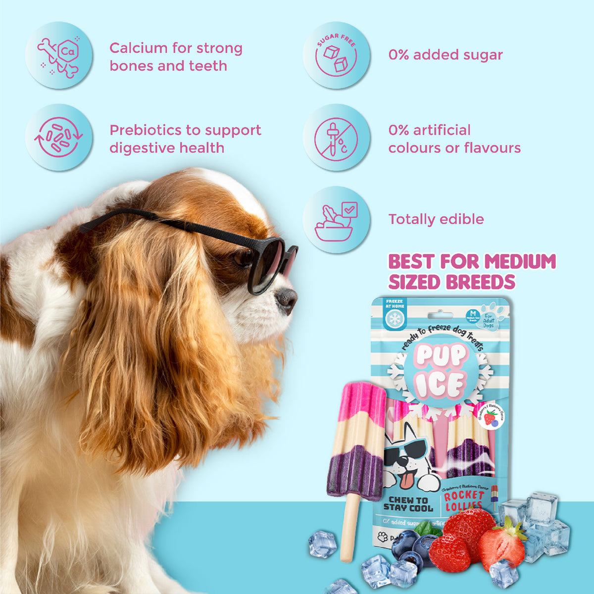 Pup Ice Rocket Lollies Blueberry & Strawberry 2Pk 90G - PI04-03.jpg