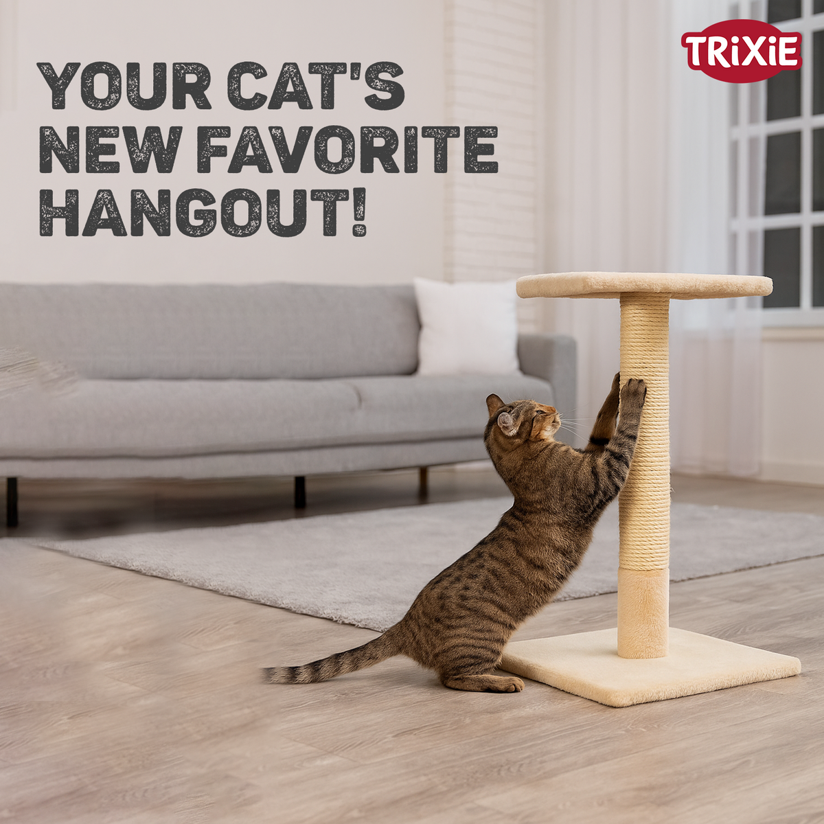 Trixie Baena scratching post, 69 cm, beige