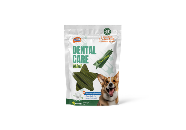 NOVEE, DENTAL CARE MINI, 15 pcs. / 65 g - 9934 Novee_Dental Care MINI.png