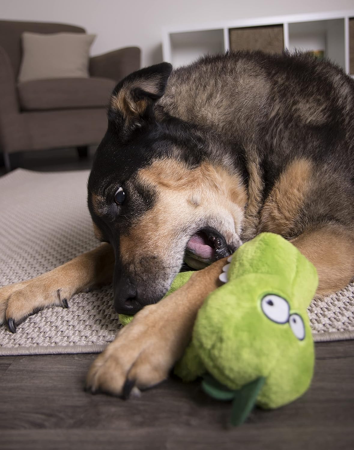goDog Hear Doggy Flattie with Chew Guard – Gator Plush Dog Toy