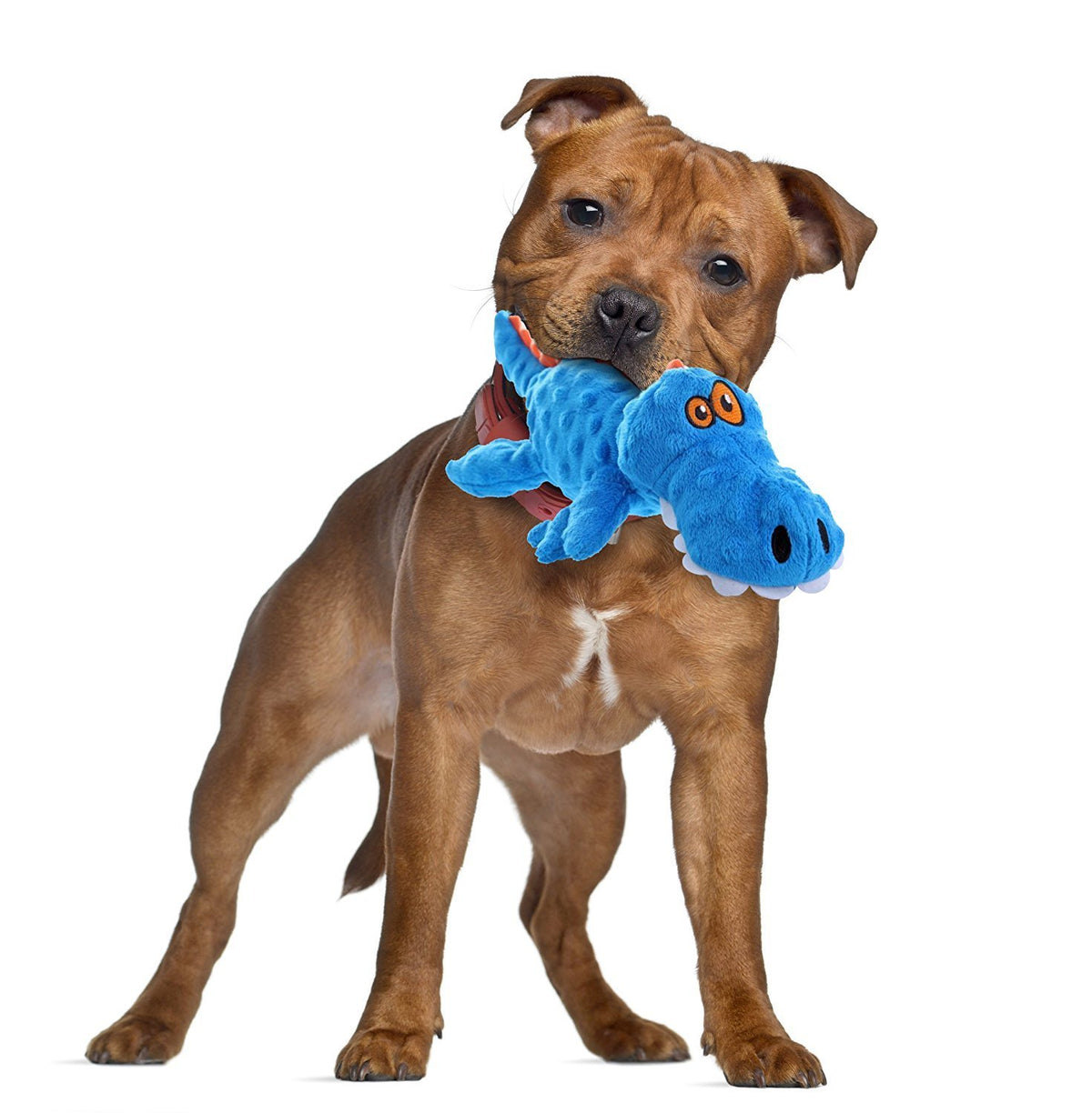 goDog Gators with Chew Guard Technology Durable Plush Squeaker Dog Toy – Blue, Large