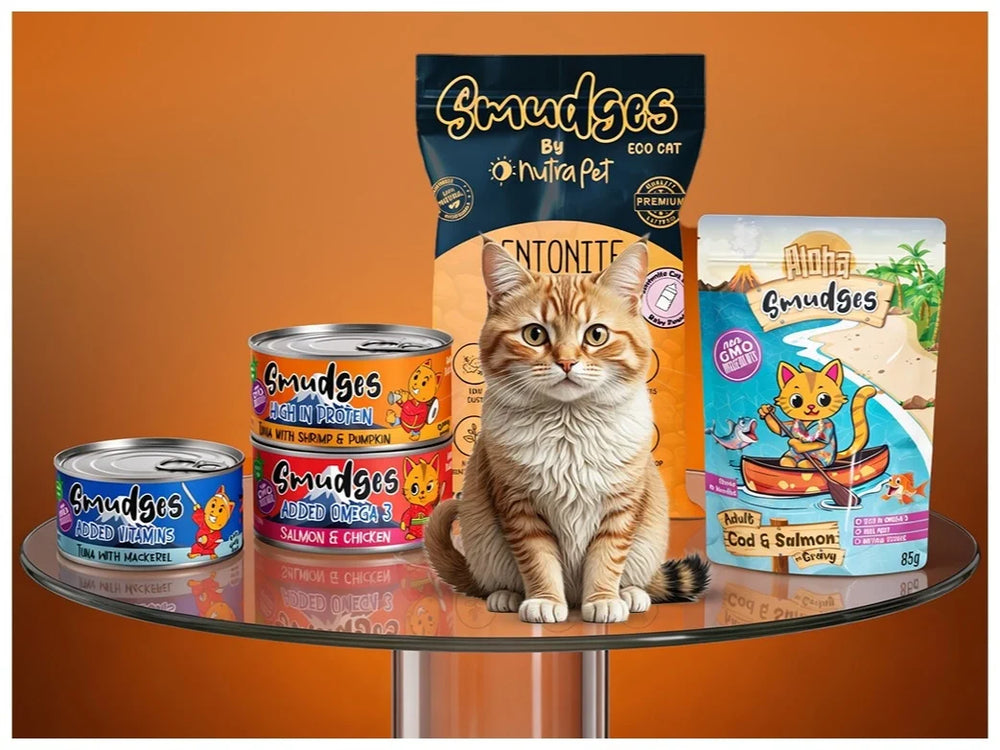 Hand-picked for Indian pet parents