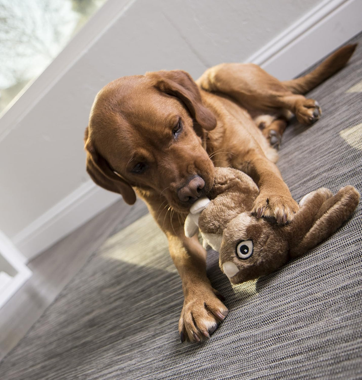 goDog Wildlife Rabbit with Chew Guard Technology Durable Plush Squeaker Dog Toy – Large