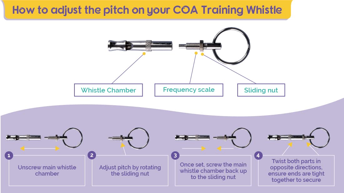 Company of Animals Clix Professional Whistle – Silver